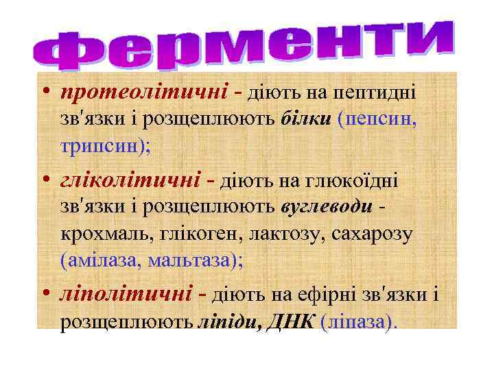  • протеолітичні - діють на пептидні зв′язки і розщеплюють білки (пепсин, трипсин); •