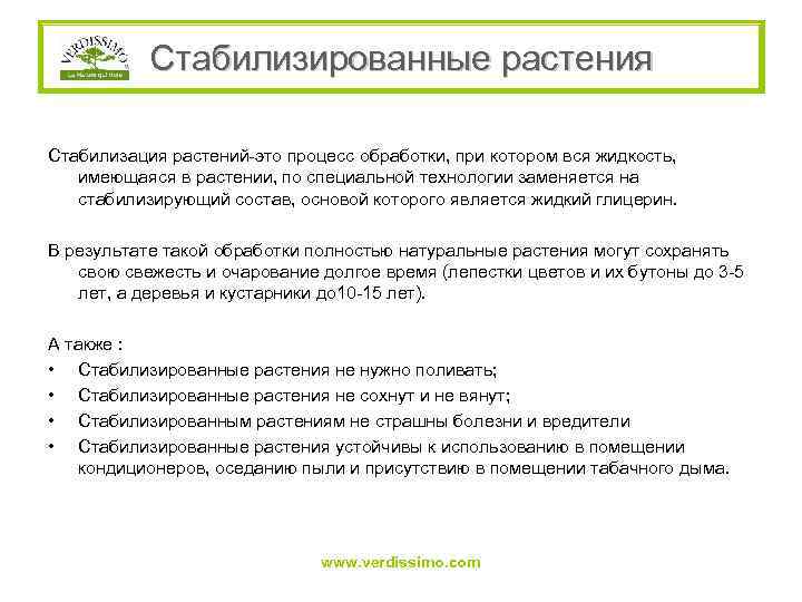 Стабилизированные растения Стабилизация растений-это процесс обработки, при котором вся жидкость, имеющаяся в растении, по