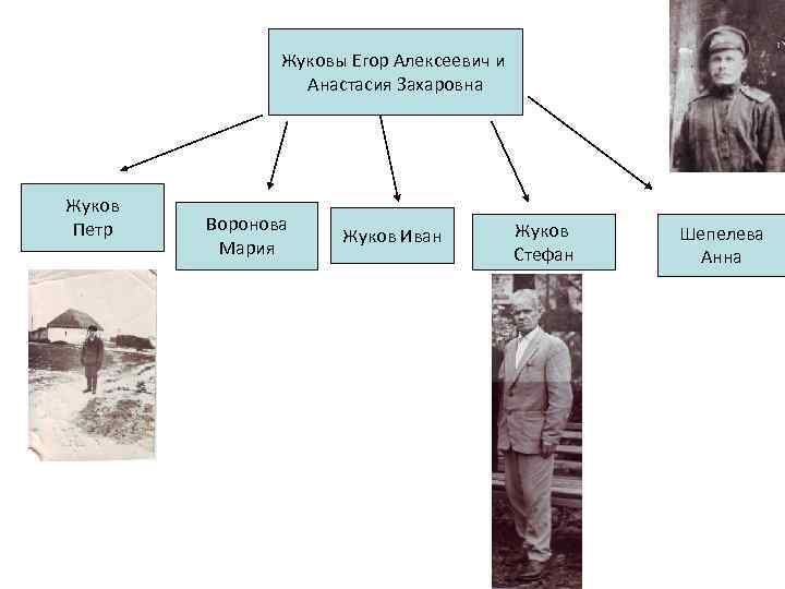 Жуковы Егор Алексеевич и Анастасия Захаровна Жуков Петр Воронова Мария Жуков Иван Жуков Стефан