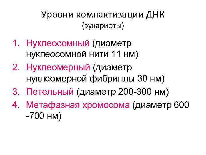 Уровни компактизации ДНК (эукариоты) 1. Нуклеосомный (диаметр нуклеосомной нити 11 нм) 2. Нуклеомерный (диаметр