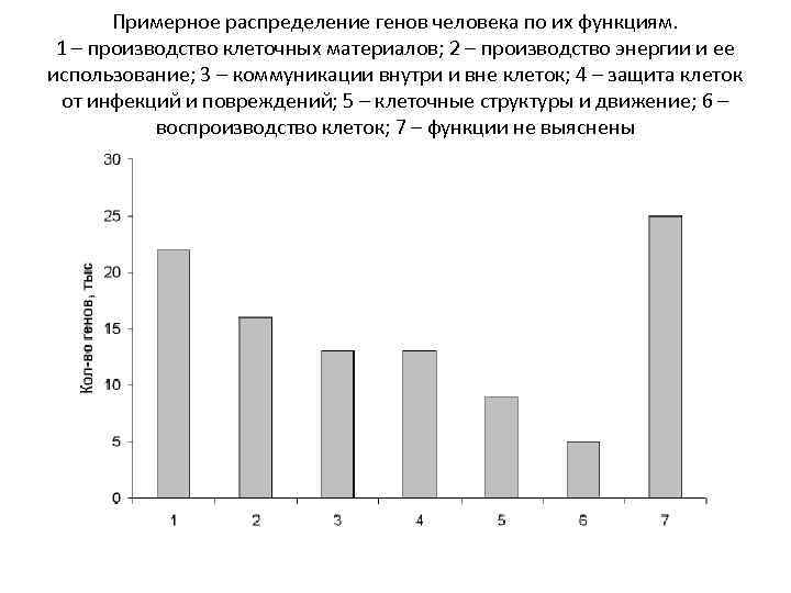 Примерное распределение генов человека по их функциям. 1 – производство клеточных материалов; 2 –