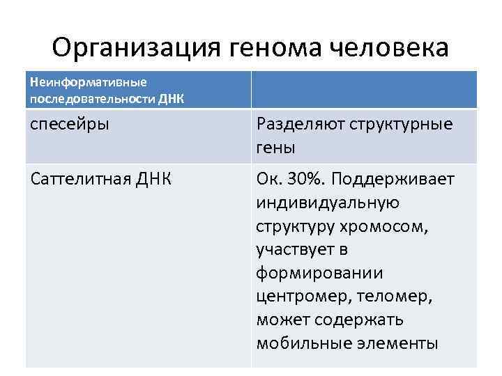 Организация генома человека Неинформативные последовательности ДНК спесейры Разделяют структурные гены Саттелитная ДНК Ок. 30%.