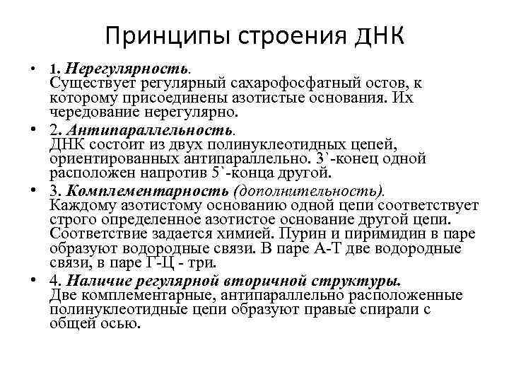 Принципы строения д. НК • 1. Нерегулярность. Существует регулярный сахарофосфатный остов, к которому присоединены