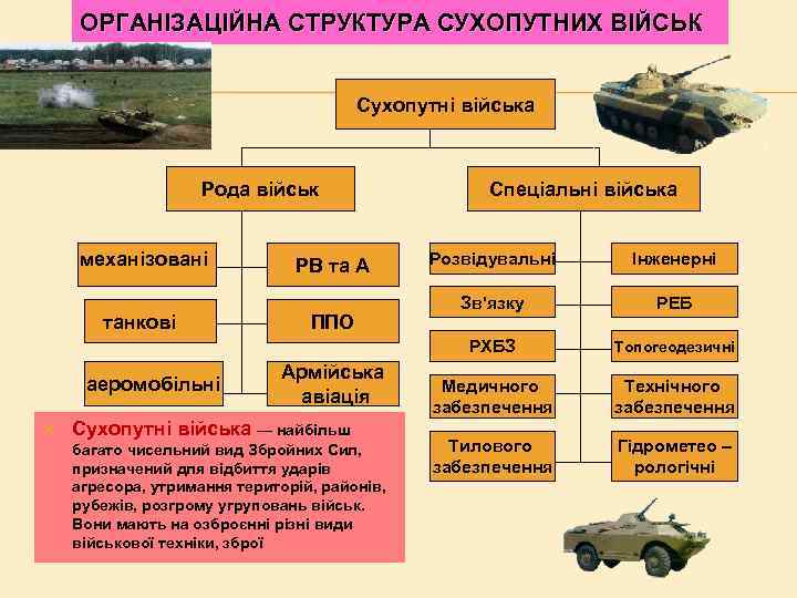 ОРГАНІЗАЦІЙНА СТРУКТУРА СУХОПУТНИХ ВІЙСЬК Сухопутні війська Рода військ механізовані Спеціальні війська аеромобільні ППО Армійська