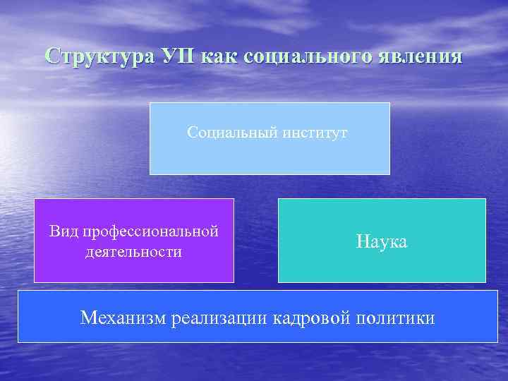Структура УП как социального явления Социальный институт Вид профессиональной деятельности Наука Механизм реализации кадровой