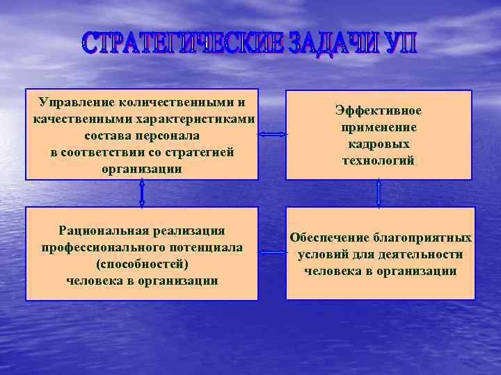 Управление количественными и качественными характеристиками состава персонала в соответствии со стратегией организации Эффективное применение