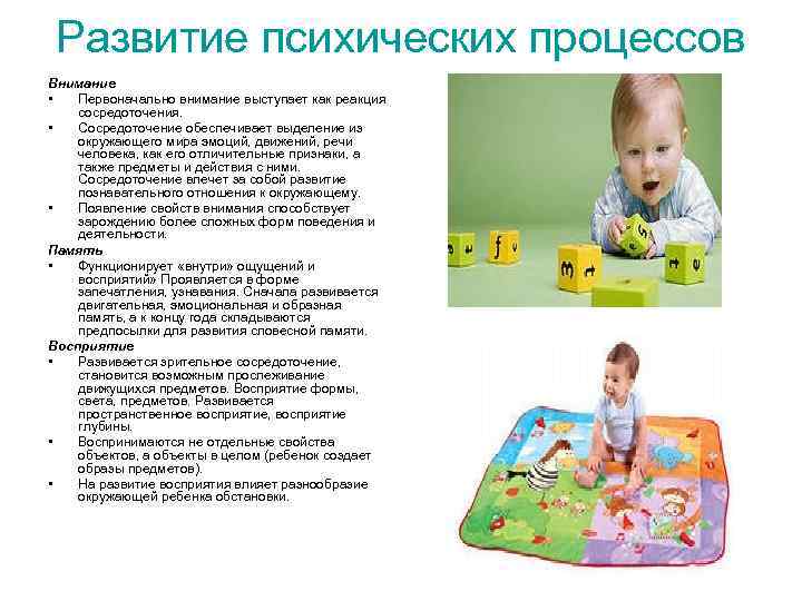 Развитие психических процессов Внимание • Первоначально внимание выступает как реакция сосредоточения. • Сосредоточение обеспечивает