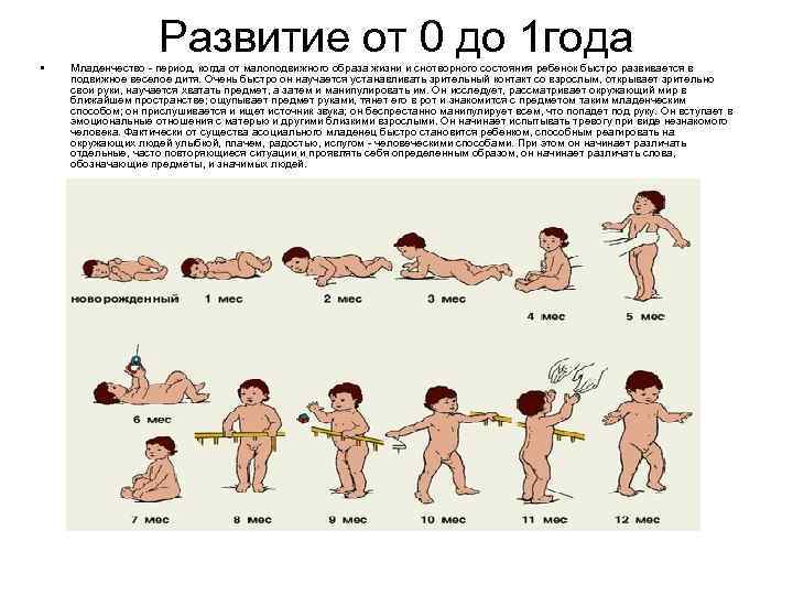 Развитие от 0 до 1 года • Младенчество - период, когда от малоподвижного образа
