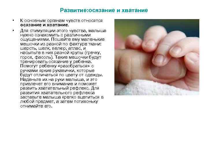 Развитие: осязание и хватание • • К основным органам чувств относятся осязание и хватание.