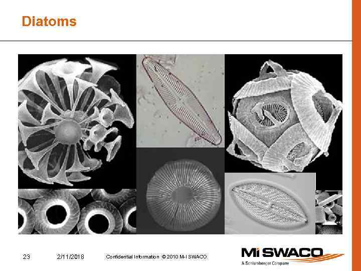 Diatoms 23 2/11/2018 Confidential Information © 2010 M-I SWACO 