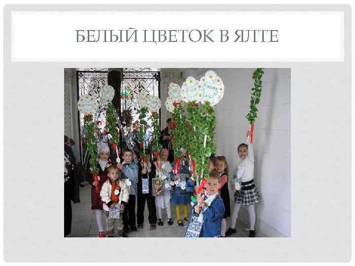 БЕЛЫЙ ЦВЕТОК В ЯЛТЕ 