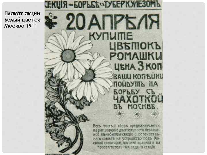 Плакат акции Белый цветок Москва 1911 