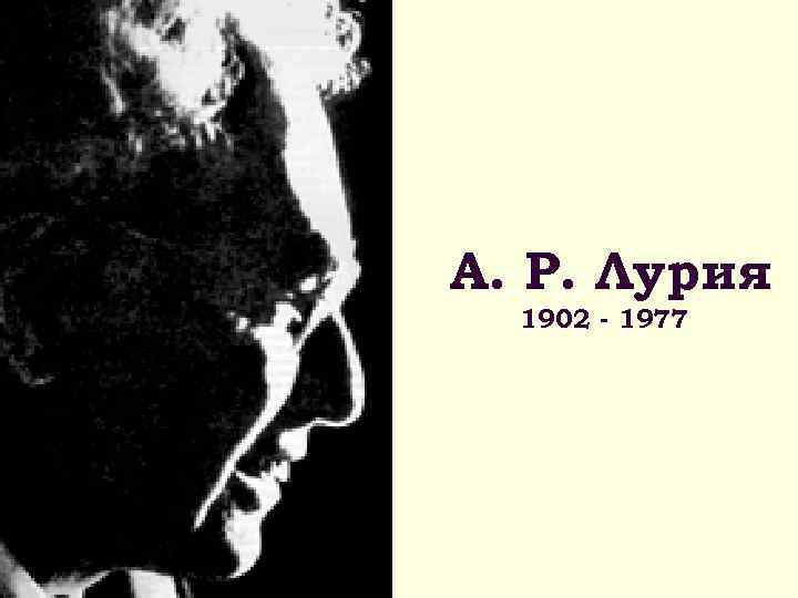 А. Р. Лурия 1902 - 1977 