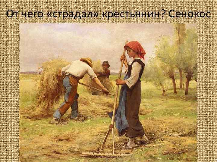 От чего «страдал» крестьянин? Сенокос 