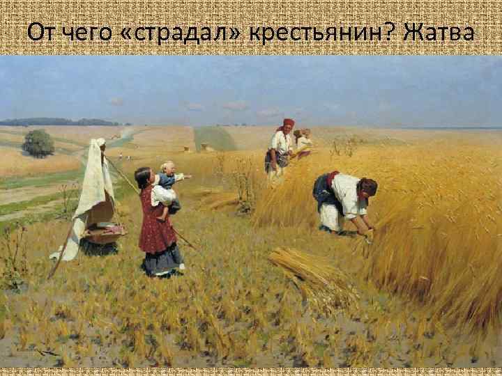 От чего «страдал» крестьянин? Жатва 