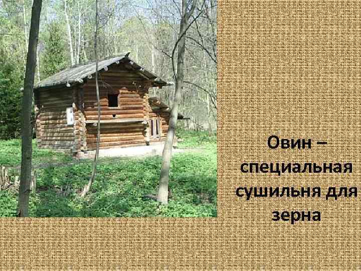 Овин – специальная сушильня для зерна 