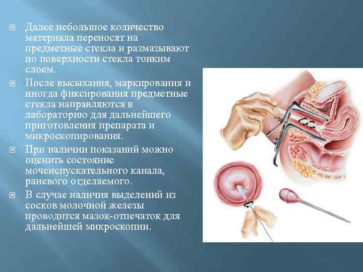  Далее небольшое количество материала переносят на предметные стекла и размазывают по поверхности стекла