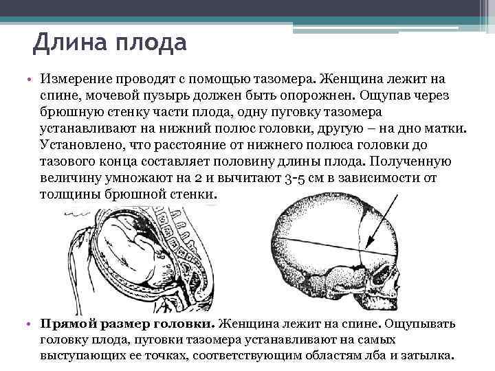 Размеры головки таза. Измерение головки плода. Измерение длины плода. Измерение длины плода тазомером. Прямой размер головки.