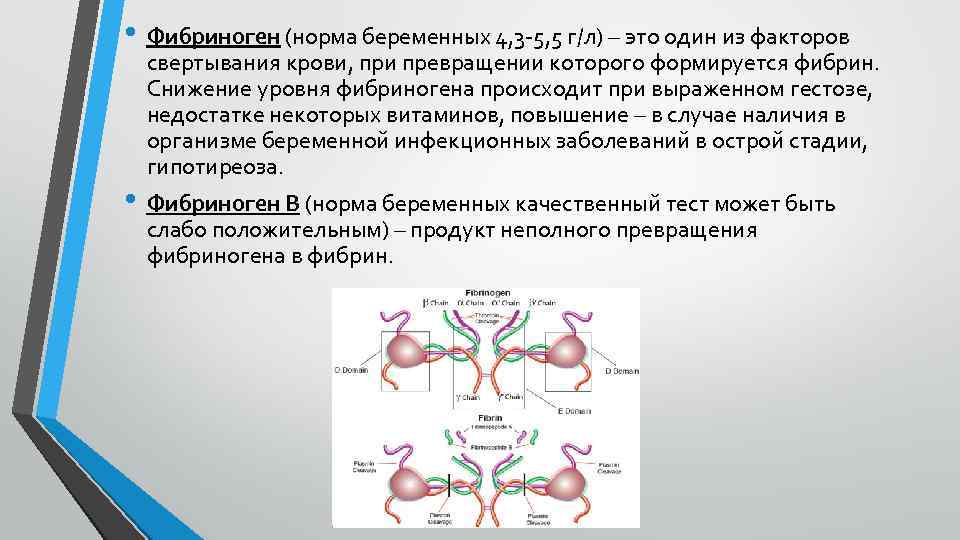 Фибриноген в крови что это у мужчин. Фибриноген норма. Повышение фибриногена.