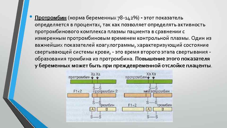  • Протромбин (норма беременных 78 -142%) - этот показатель определяется в процентах, так