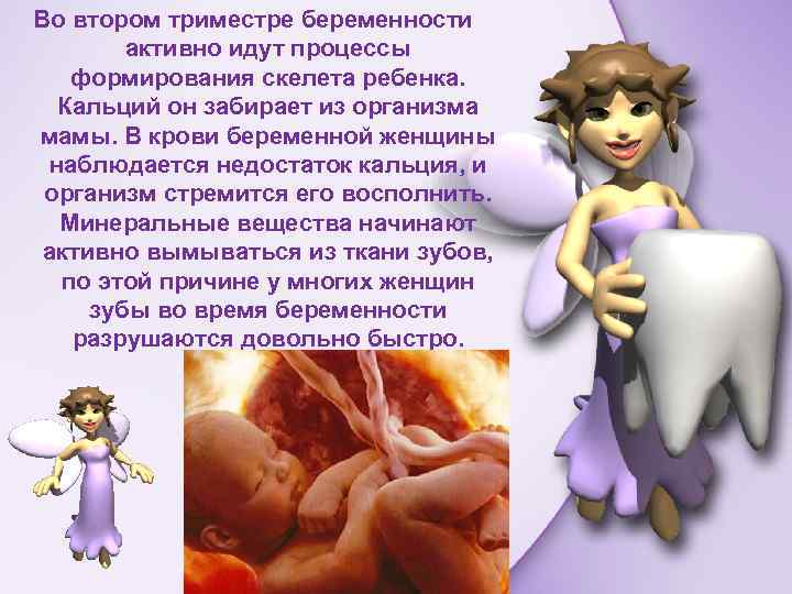 Во втором триместре беременности активно идут процессы формирования скелета ребенка. Кальций он забирает из