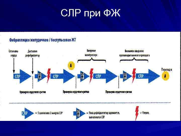 СЛР при ФЖ 