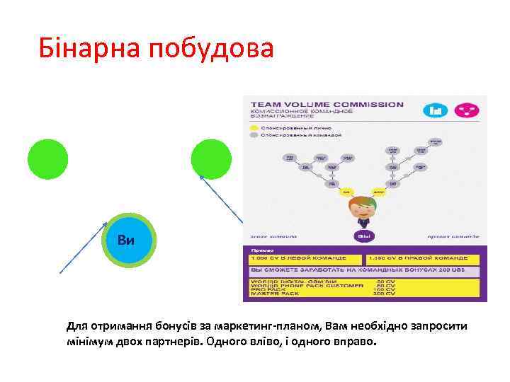 Бінарна побудова Ви Для отримання бонусів за маркетинг-планом, Вам необхідно запросити мінімум двох
