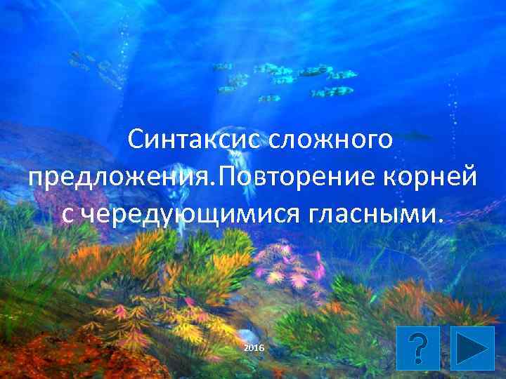 Синтаксис сложного предложения. Повторение корней с чередующимися гласными. 2016 