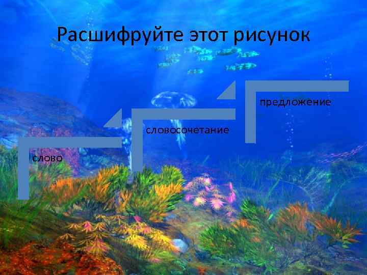 Расшифруйте этот рисунок предложение словосочетание слово 