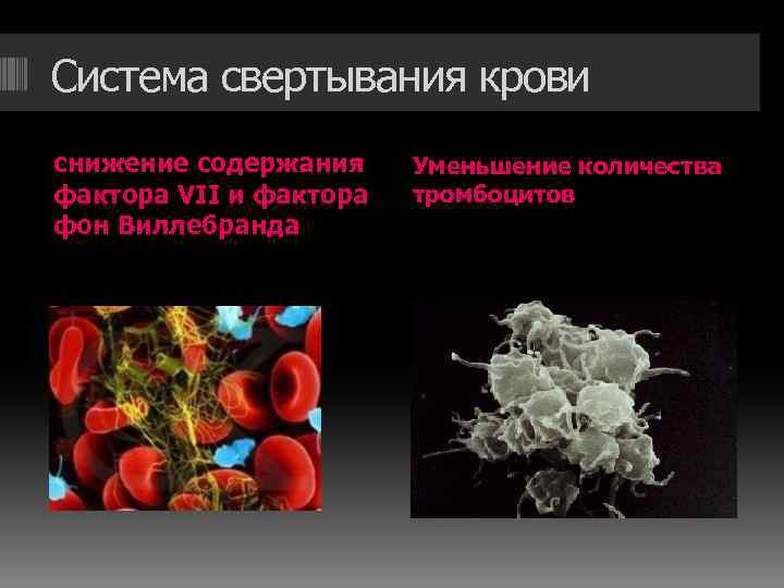 Система свертывания крови снижение содержания фактора VII и фактора фон Виллебранда Уменьшение количества тромбоцитов