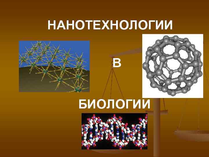 Нанотехнології в біології проект