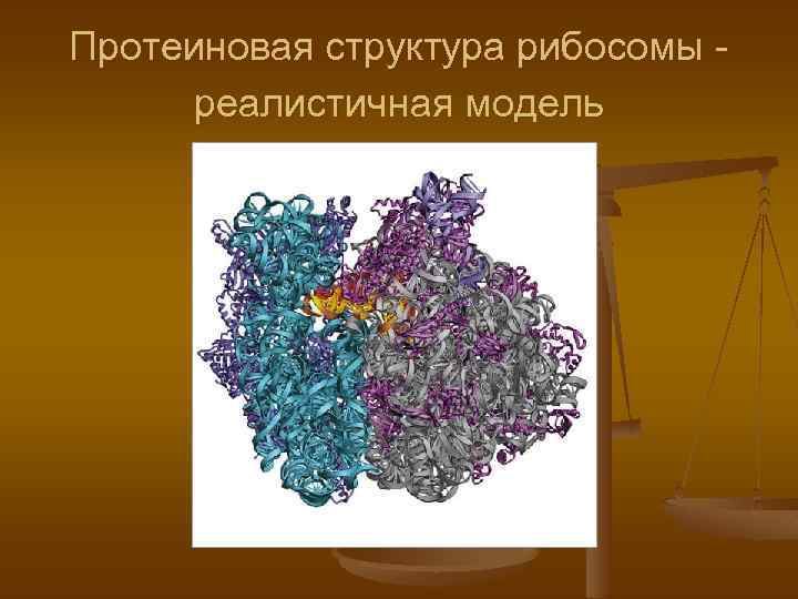 Протеиновая структура рибосомы реалистичная модель 