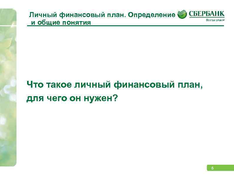 Личный финансовый план. Определение и общие понятия Что такое личный финансовый план, для чего