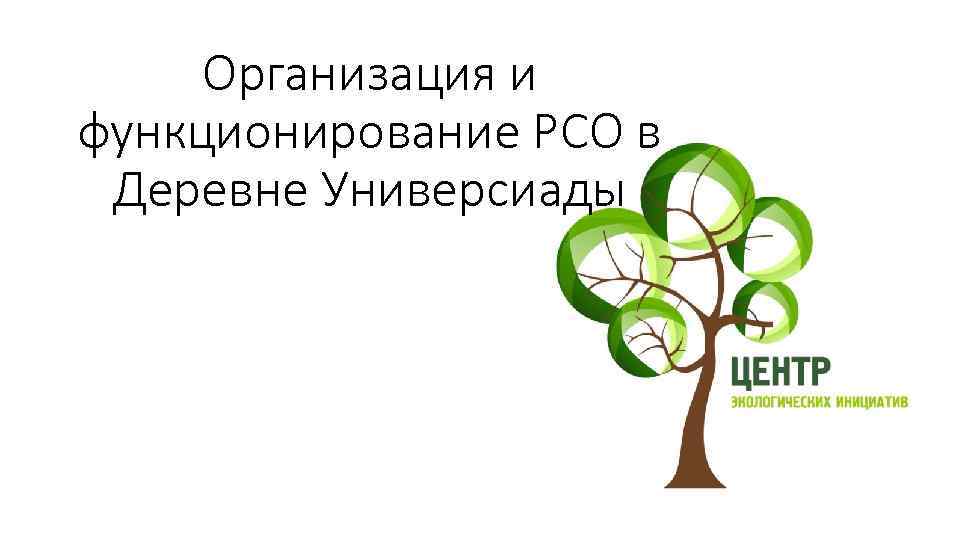 Организация и функционирование РСО в Деревне Универсиады 