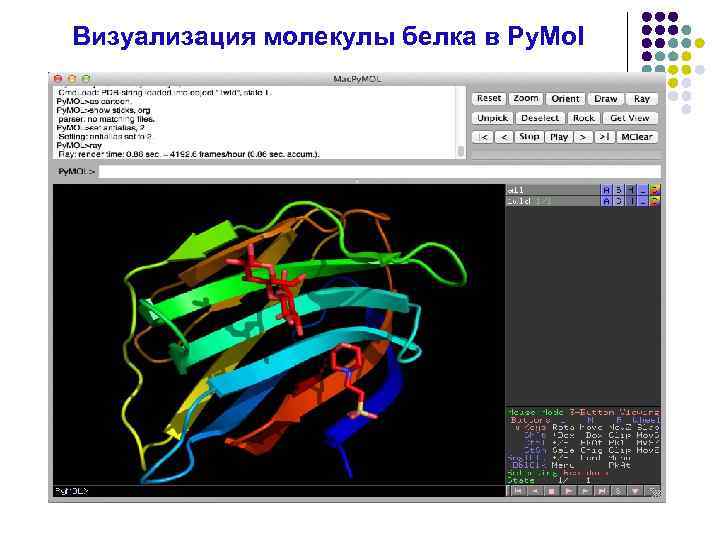 Визуализация молекулы белка в Py. Mol 