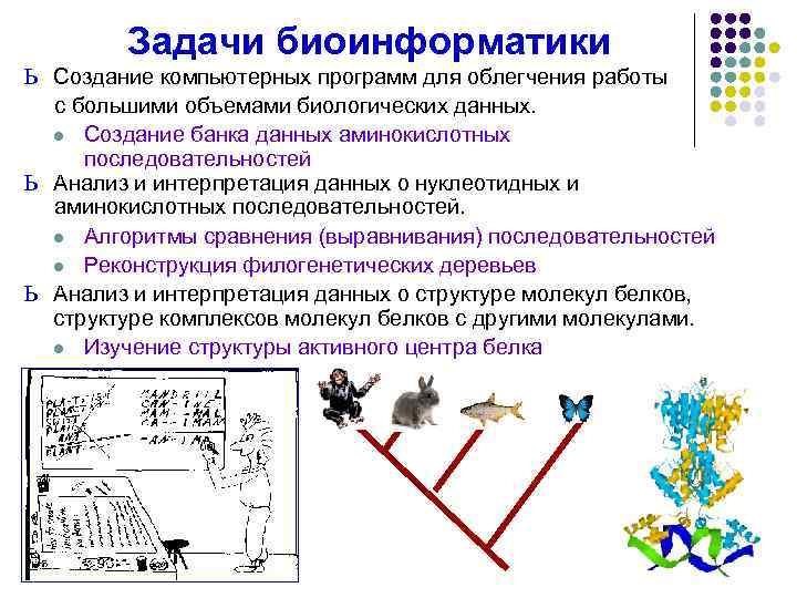 Биоинженерия и биоинформатика сеченова учебный план