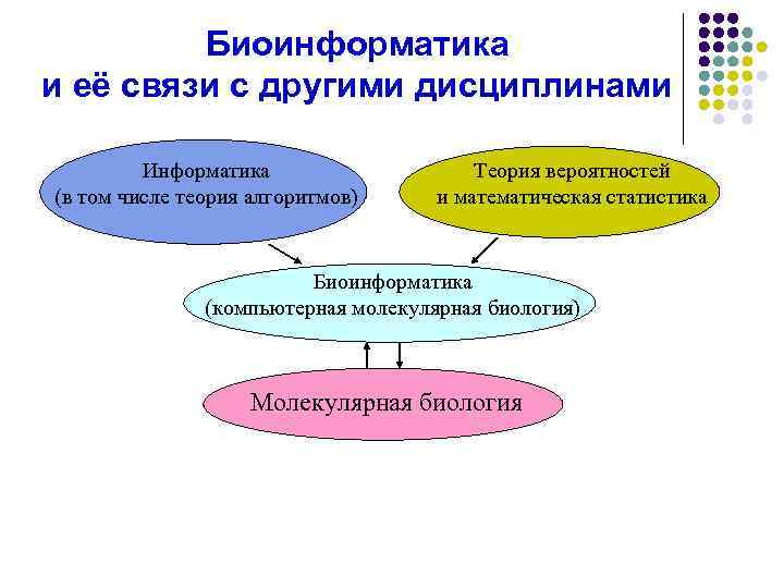 Биоинформатика вакансии