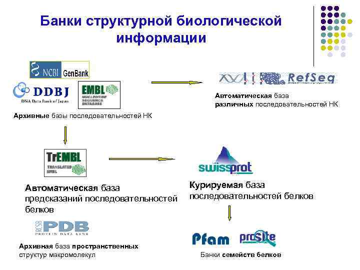 Банки структурной биологической информации Автоматическая база различных последовательностей НК Архивные базы последовательностей НК Автоматическая