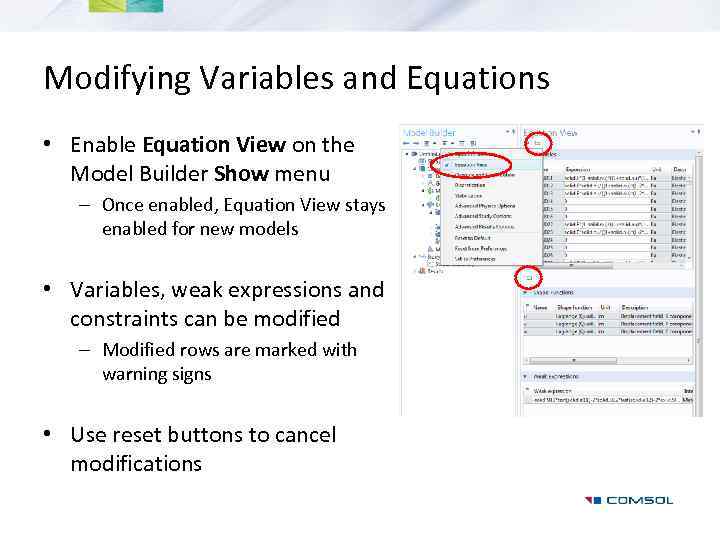 Modifying Variables and Equations • Enable Equation View on the Model Builder Show menu