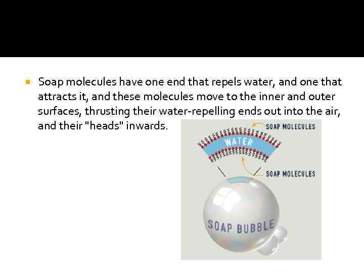  Soap molecules have one end that repels water, and one that attracts it,