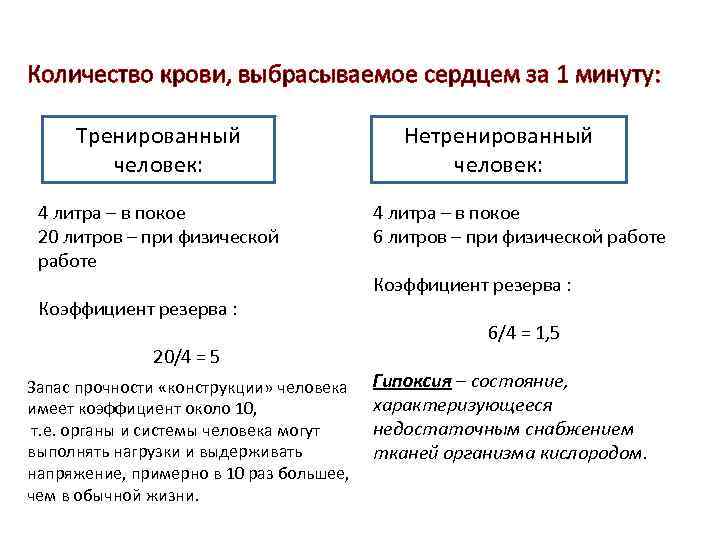 Количество крови, выбрасываемое сердцем за 1 минуту: Тренированный человек: 4 литра – в покое