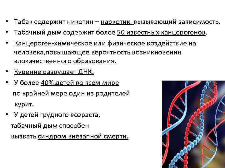  • Табак содержит никотин – наркотик, вызывающий зависимость. • Табачный дым содержит более