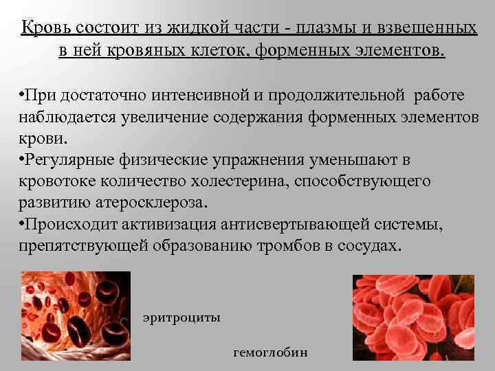 Кровь состоит из жидкой части - плазмы и взвешенных в ней кровяных клеток, форменных