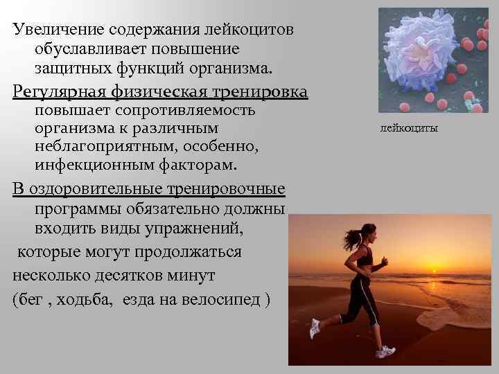 Увеличение содержания лейкоцитов обуславливает повышение защитных функций организма. Регулярная физическая тренировка повышает сопротивляемость организма