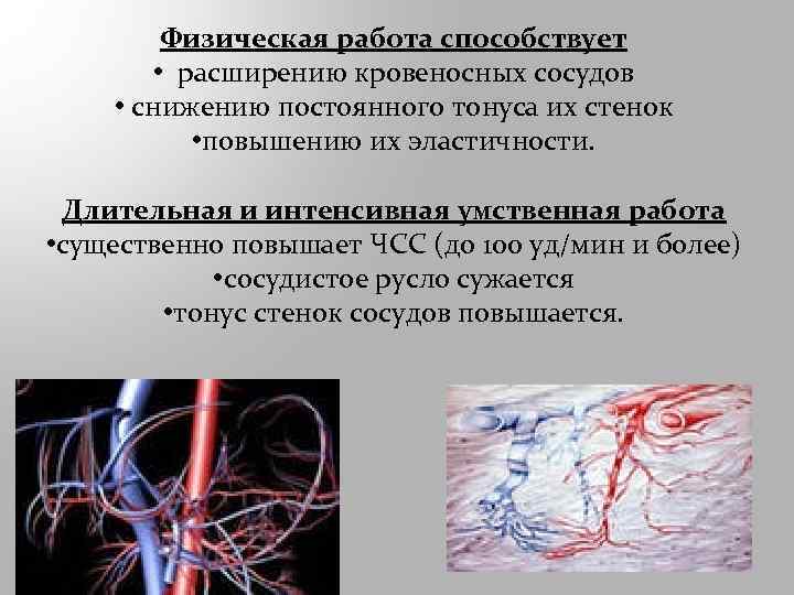 Физическая работа способствует • расширению кровеносных сосудов • снижению постоянного тонуса их стенок •