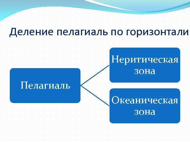Деление пелагиаль по горизонтали Неритическая зона Пелагиаль Океаническая зона 
