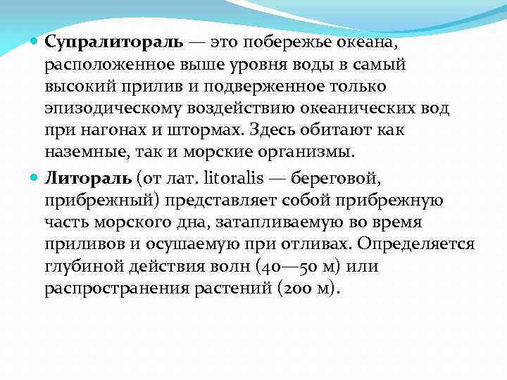  Супралитораль — это побережье океана, расположенное выше уровня воды в самый высокий прилив