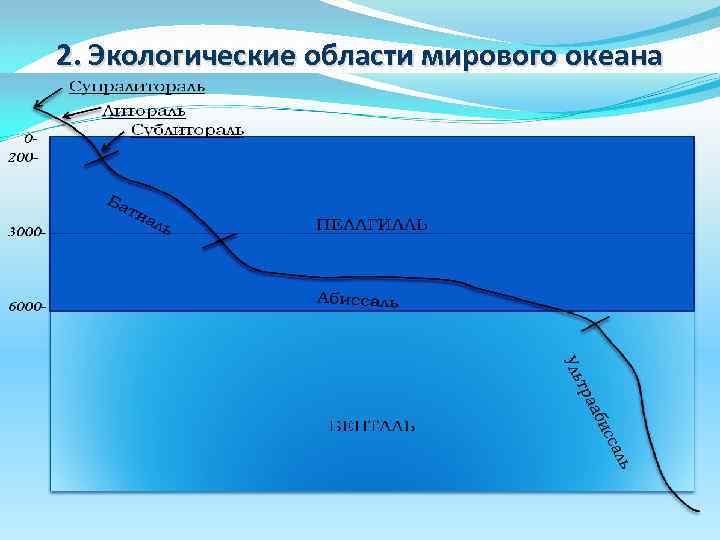 Географические зоны океана. Экологические зоны мирового океана. Основные экологические зоны мирового океана. Вертикальная экологическая зональность океана. Глубинные зоны мирового океана.