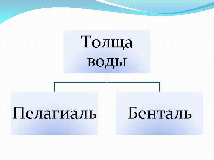 Толща воды Пелагиаль Бенталь 