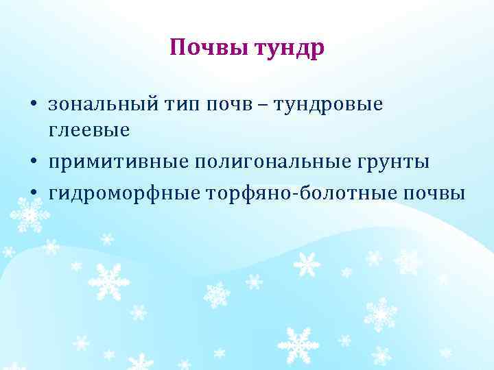 Почвы тундр • зональный тип почв – тундровые глеевые • примитивные полигональные грунты •